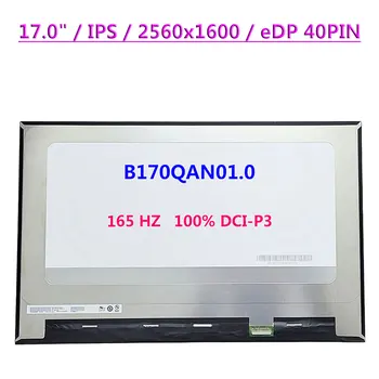 B170QAN01.0 IPS 165HZ 17.0