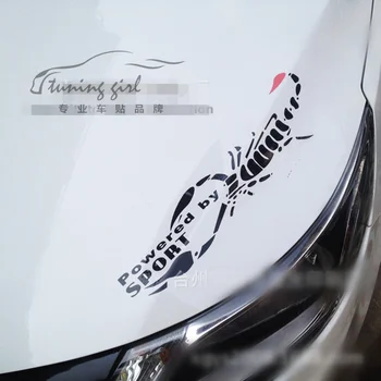 Auto Samolepky Scorpion Scorponok Zábavné Dekorácie, Nálepky Pre Kapota Hlavu Svetlá, Dvere Batožinového Priestoru Nárazníka Čelné Sklo Motocykle H20