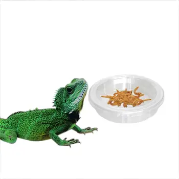 5 ks Priehľadné Lizard Potravín Miska Odolné Plastové Kolo Plaz Terárium Plaz Kŕmenie Jedlo Mravce