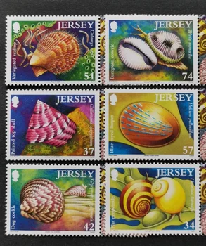 6 KS, Jersey, 2006, Shell, Sealife, Skutočný Originál Pečiatky na Zber, MNH